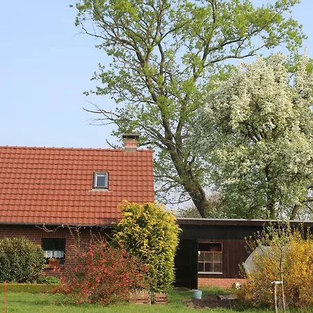 Ferienwohnung Weidengrund Burg Kauper Byhlen Extérieur photo