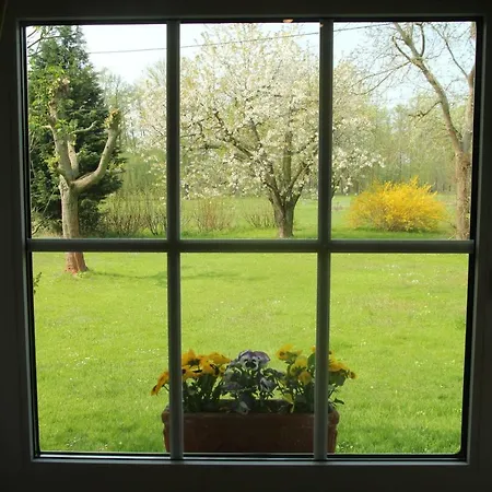 Ferienwohnung Weidengrund Burg Kauper Byhlen Extérieur photo