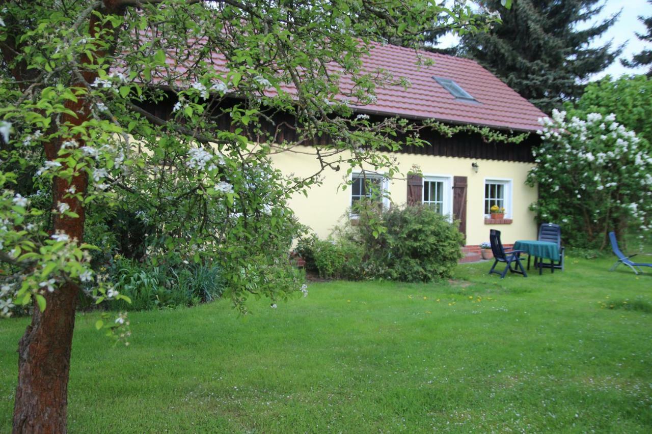 Weidengrund Burg Kauper