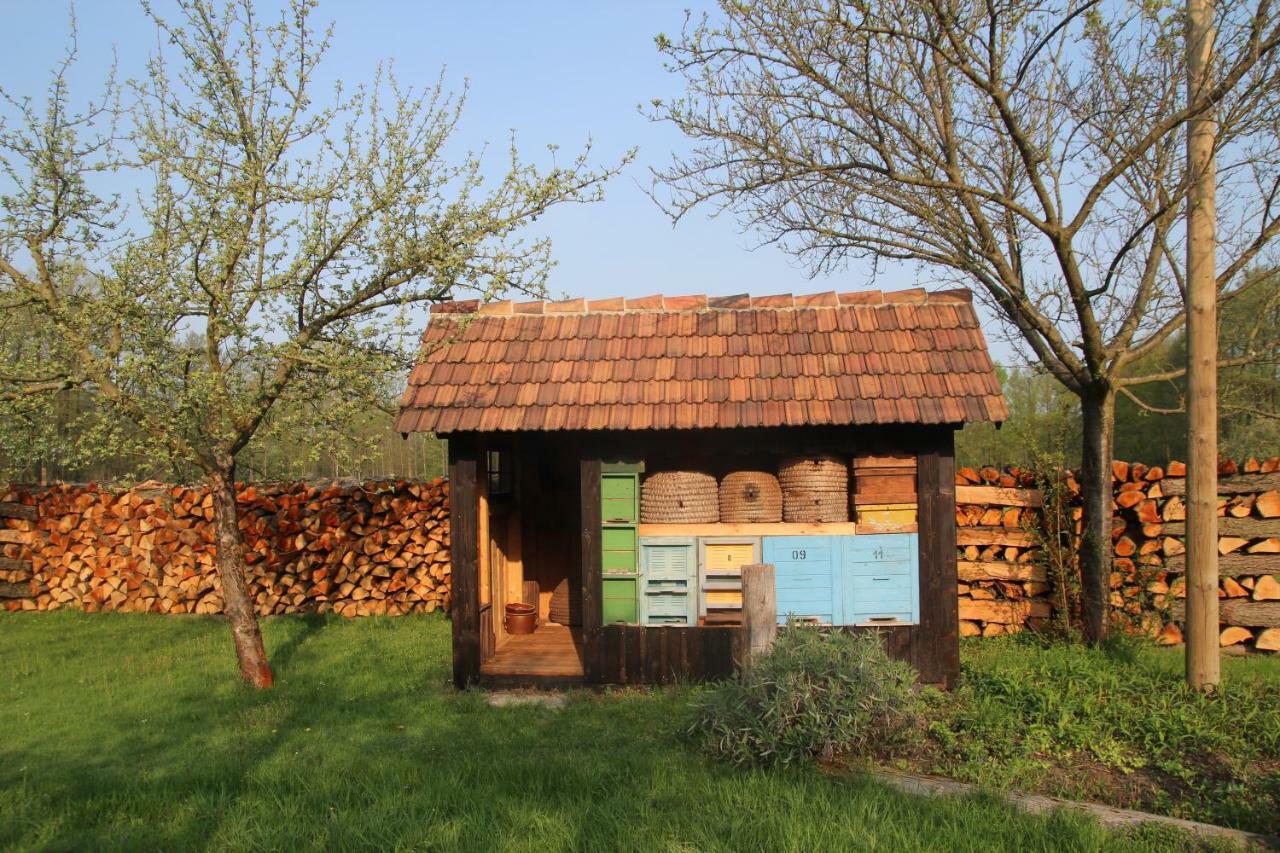 Weidengrund Burg Kauper Apartment *