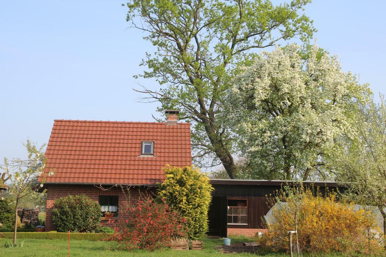 Weidengrund Burg Kauper Апартаменты Byhlen