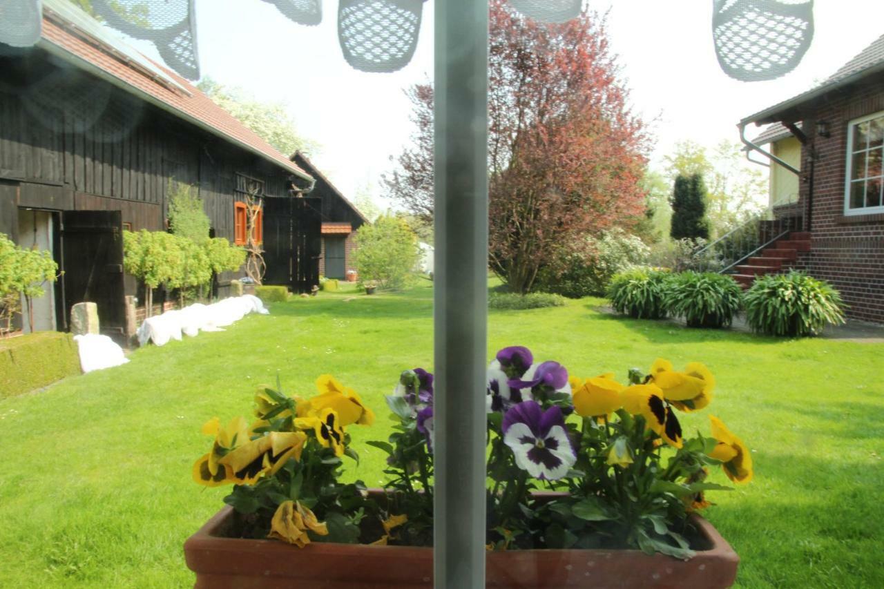 Weidengrund Burg Kauper Apartment